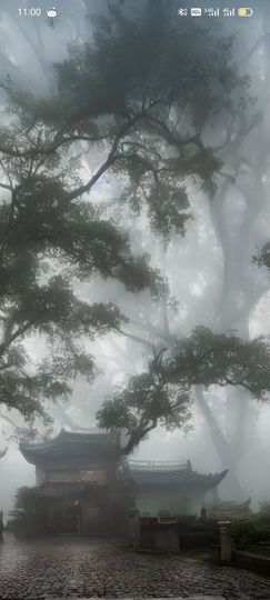 梦中的那首歌的图片