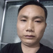 玩网络游戏的蜂鸟鹰蛾