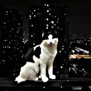 人人都是自己
