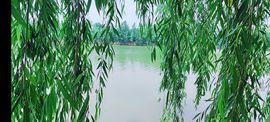 婷婷💕求升级的图片