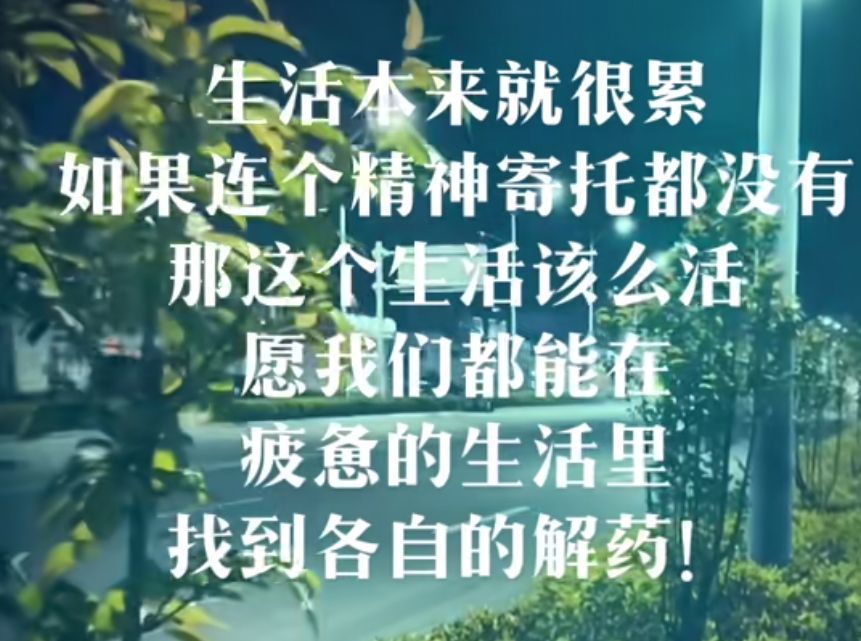 丑小鸭💞愿有一束光的图片