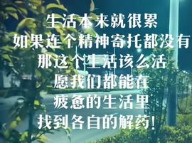 丑小鸭🍑愿有一束光主播照片