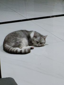 吴小优主播照片