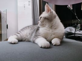 吴小优主播照片