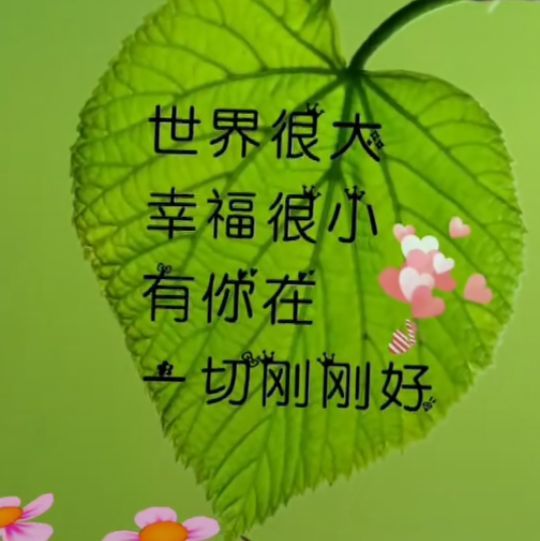 丑小鸭💞愿有一束光的图片
