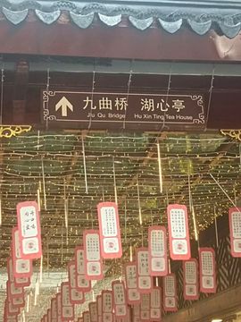 動之以情（小浪浪）的图片