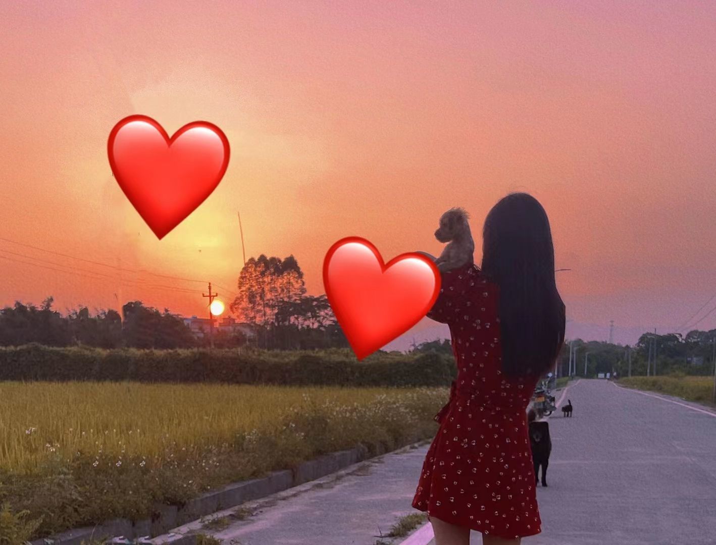 本人女，喜欢玩的主播照片
