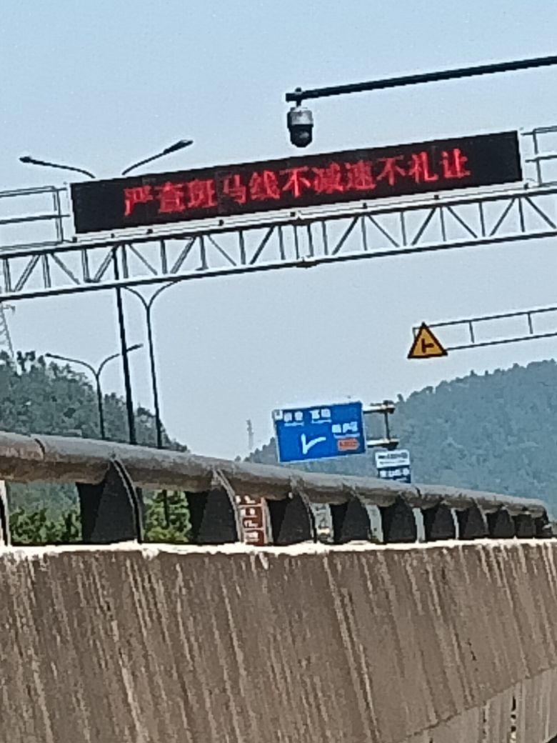 打篮球的刺背鳄蜥主播照片