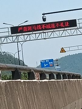 打篮球的刺背鳄蜥主播照片