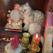 虎爷辣椒哥