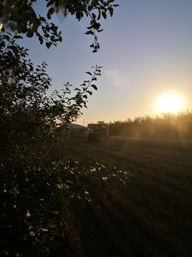 陌上╰.╯花开ღ主播照片