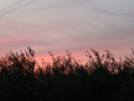 陌上╰.╯花开ღ主播照片