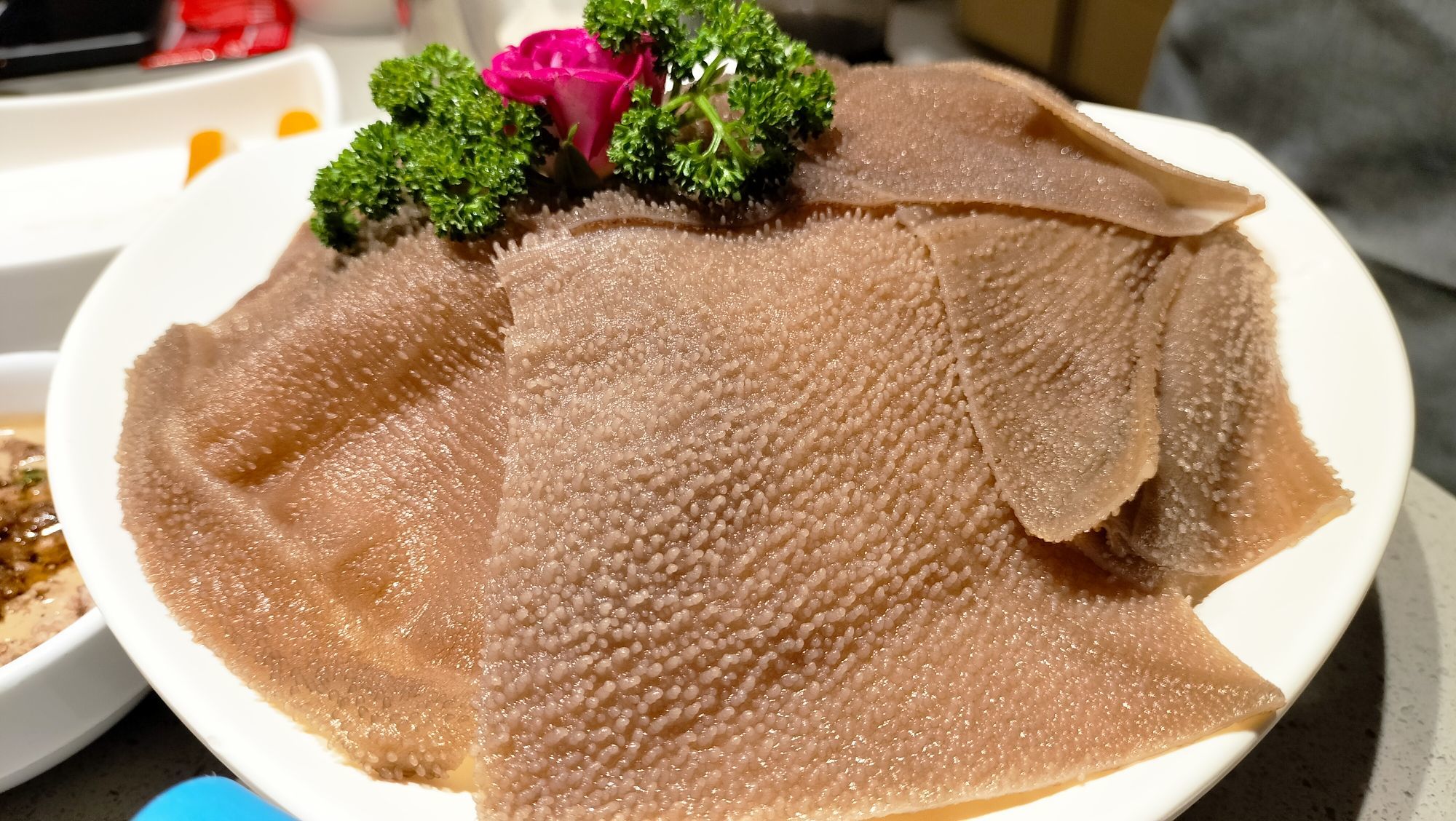 烤冷面🍑的主播照片