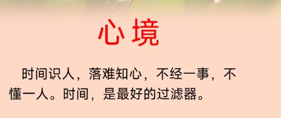 丑小鸭💞愿有一束光的图片