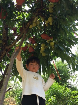 ～山水间🌴竹海～主播照片