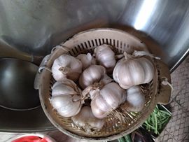 果果(平安好运)主播照片