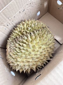 还是默默子的图片