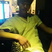 来自卢森堡的栗冠弯嘴