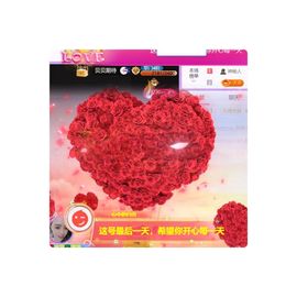 🍀冰雪❤️🍀加油的图片