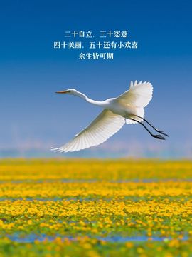 闰六月星空有约主播照片