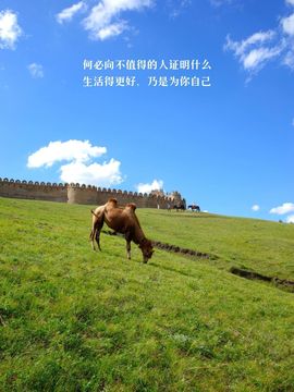 闰六月星空有约主播照片