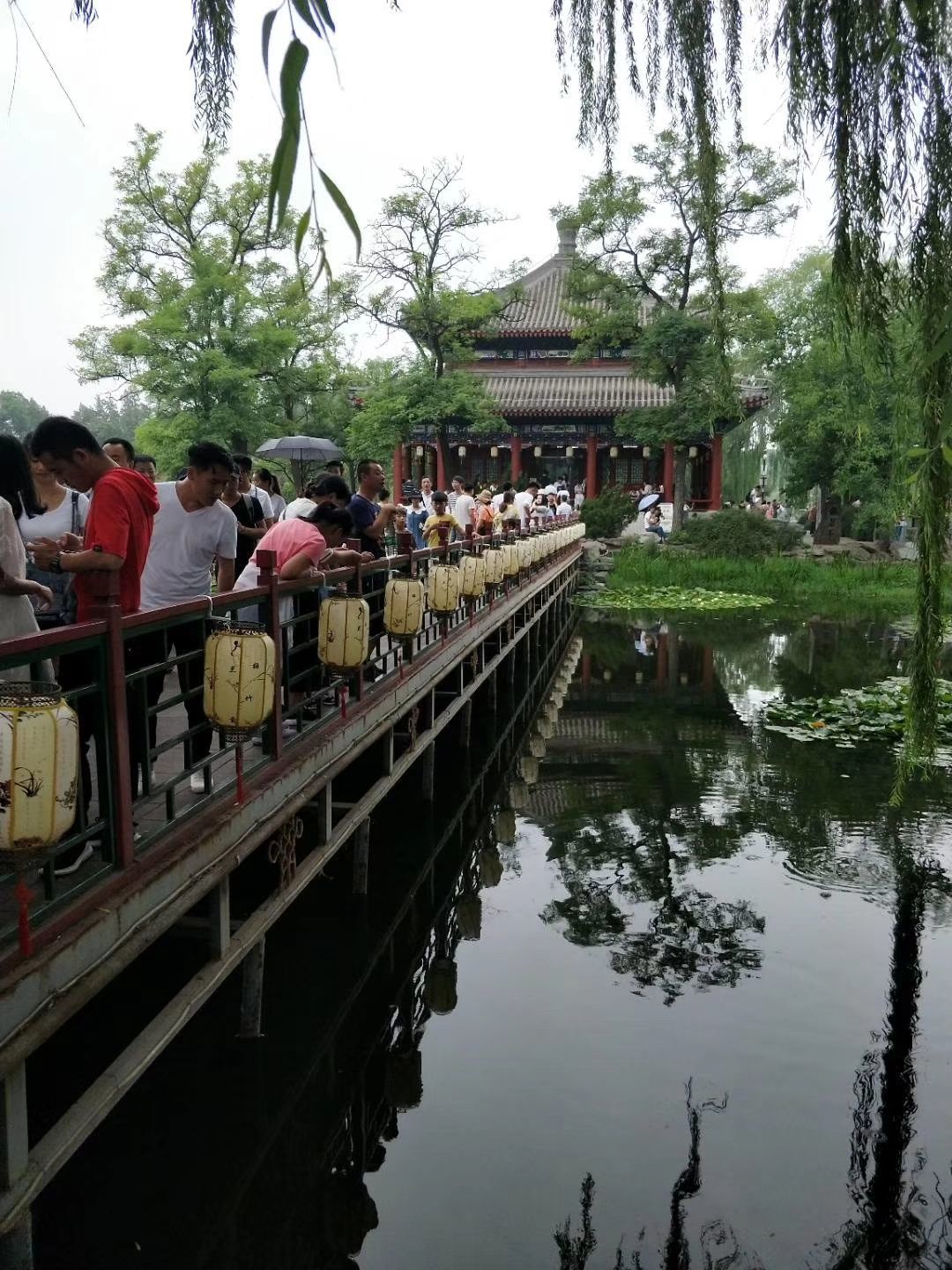 超级敷衍的主播照片