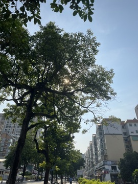 30多把不中的狗狗退主播照片