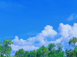 ᰔᩚ.补药啊的图片