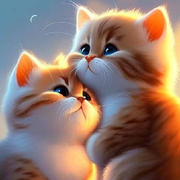 💖《夜之光》💖