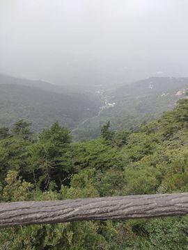 真心遇水性杨花主播照片