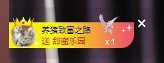 婷儿～所遇皆甜主播照片