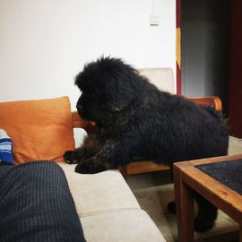 My*风景的图片