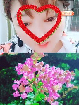 婷婷💕求升级的图片
