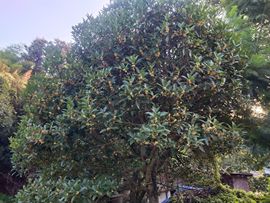 高兴之县阿涛主播照片