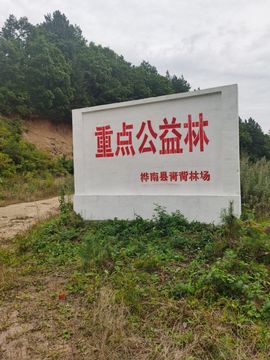 聆听~爱唱歌主播照片