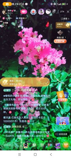 婷婷💕求升级的图片