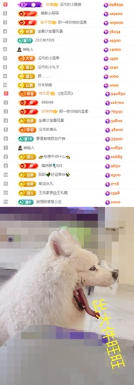 陈慧慧🥕早9晚8的图片
