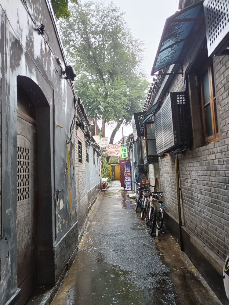 唐大小姐❥主播图片