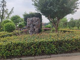 ，，事，，主播照片