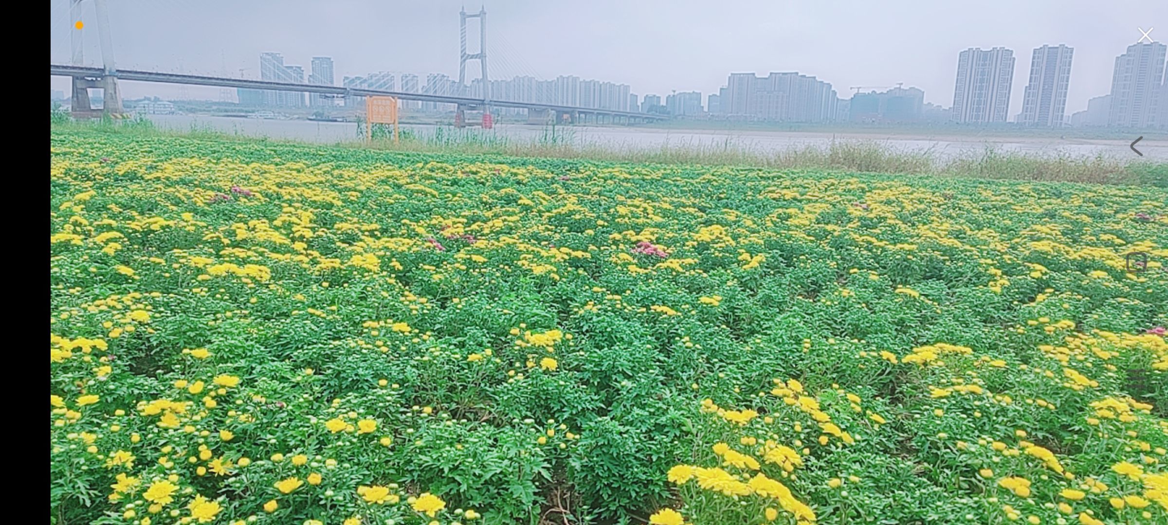 婷婷💕感恩有你陪伴的图片