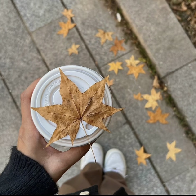 福女珂珂（休）的主播照片