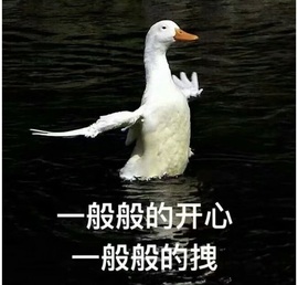 洋子～晚点见主播照片