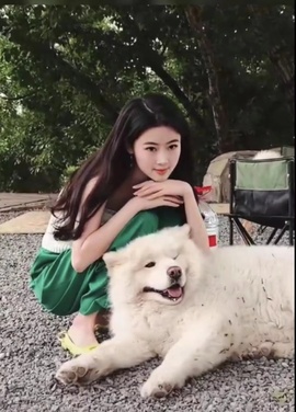 🍀莲花🌸的图片