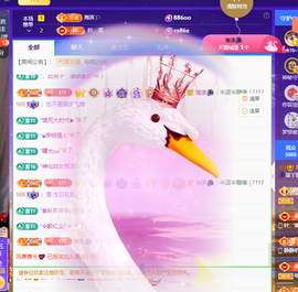 🎶柒歌主播照片