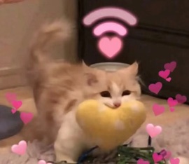 🦄嘿嘿主播照片