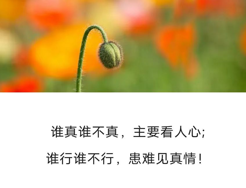 丑小鸭💞愿有一束光的图片