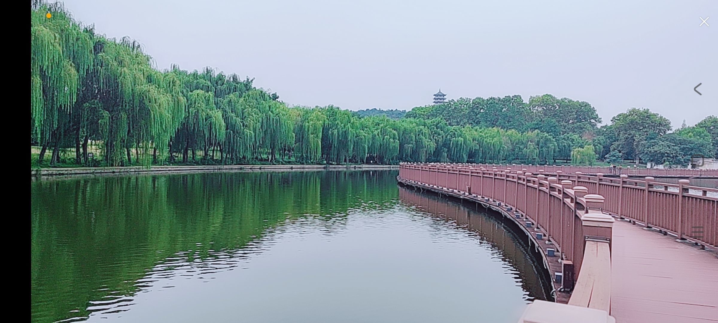 婷婷💕感恩有你陪伴的图片