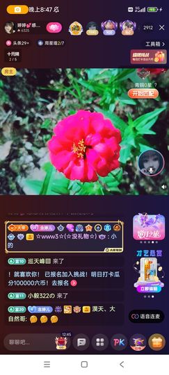 婷婷💕求升级的图片