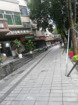 爷❥带着❥傻妞去流浪主播照片