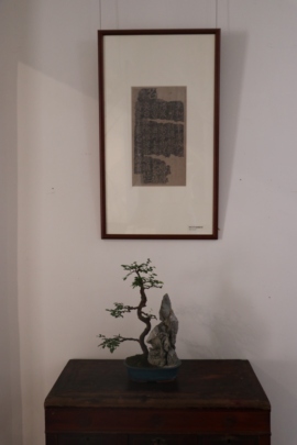 爱你鸭的图片